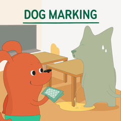 PAWPANG Dog diaper liners S