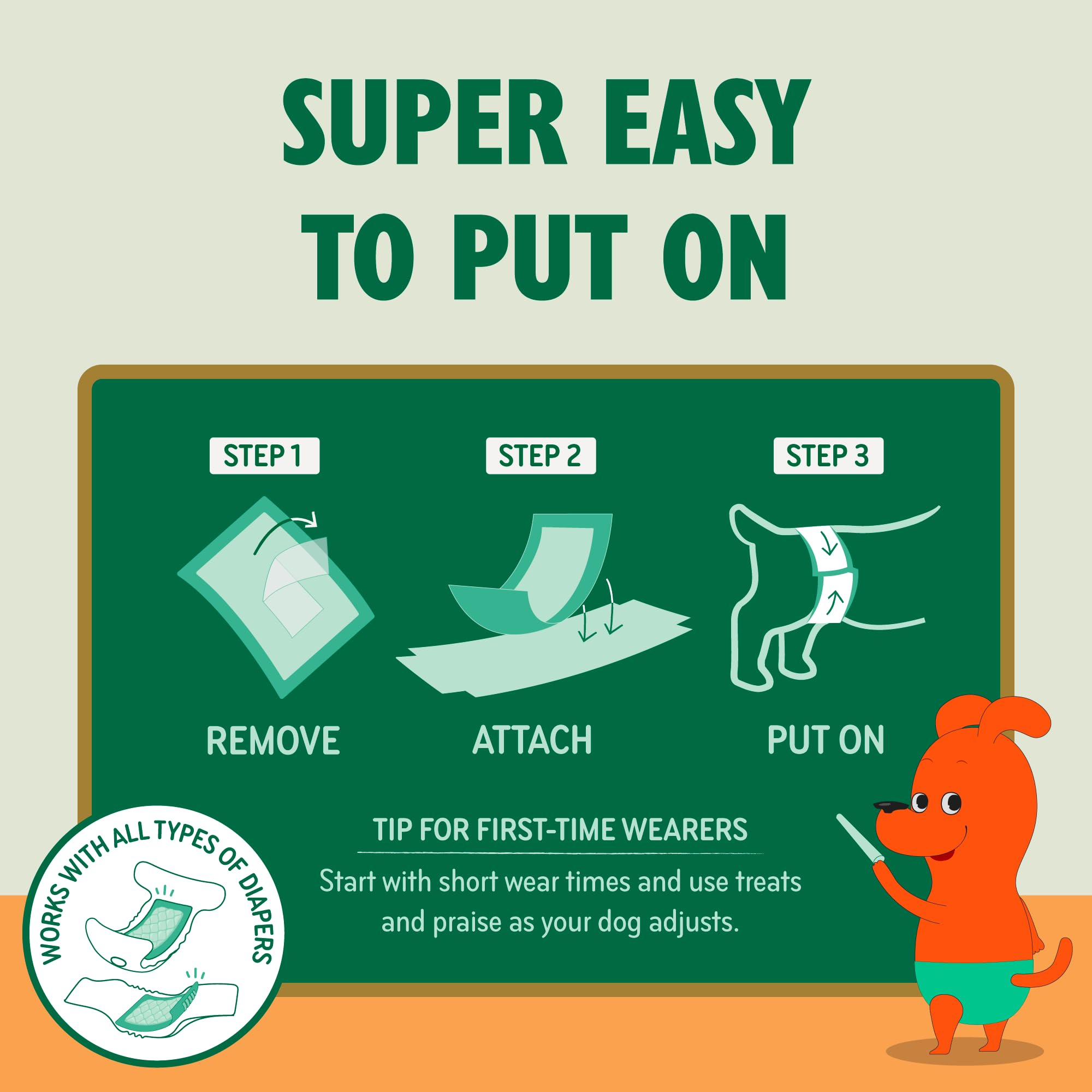 How to use PAWPANG dog diaper liners: remove backing, attach inside the diaper, put on your dog