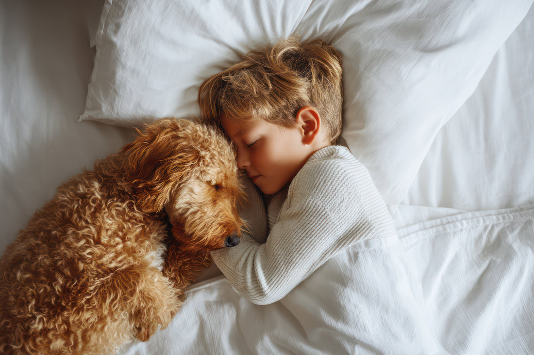 child-and-dog-sleeping-together
