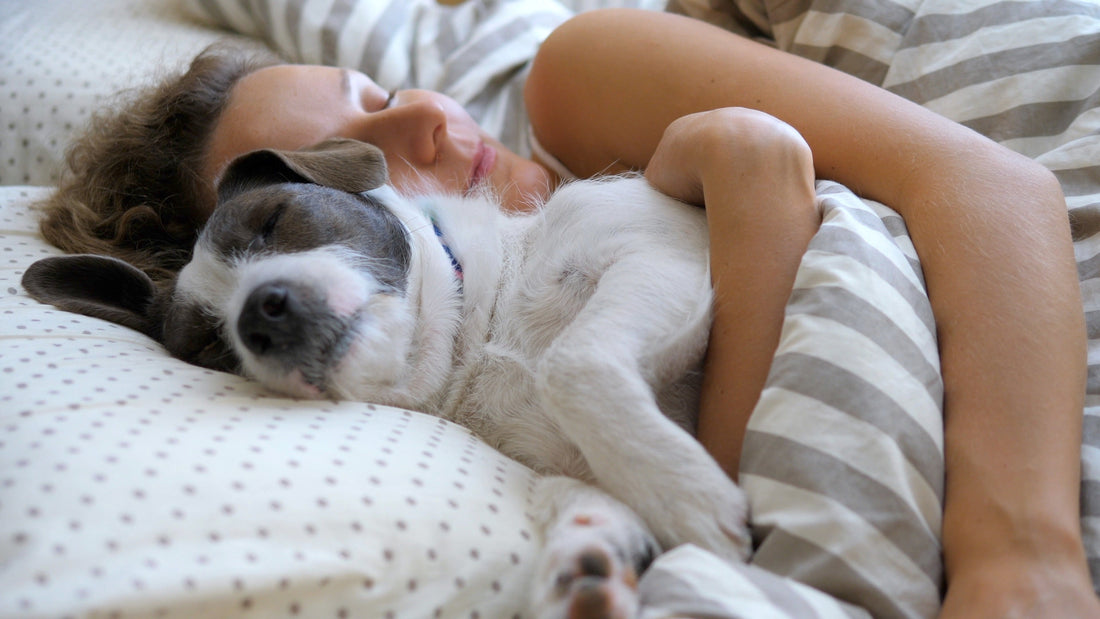 woman-sleeping-with-dog