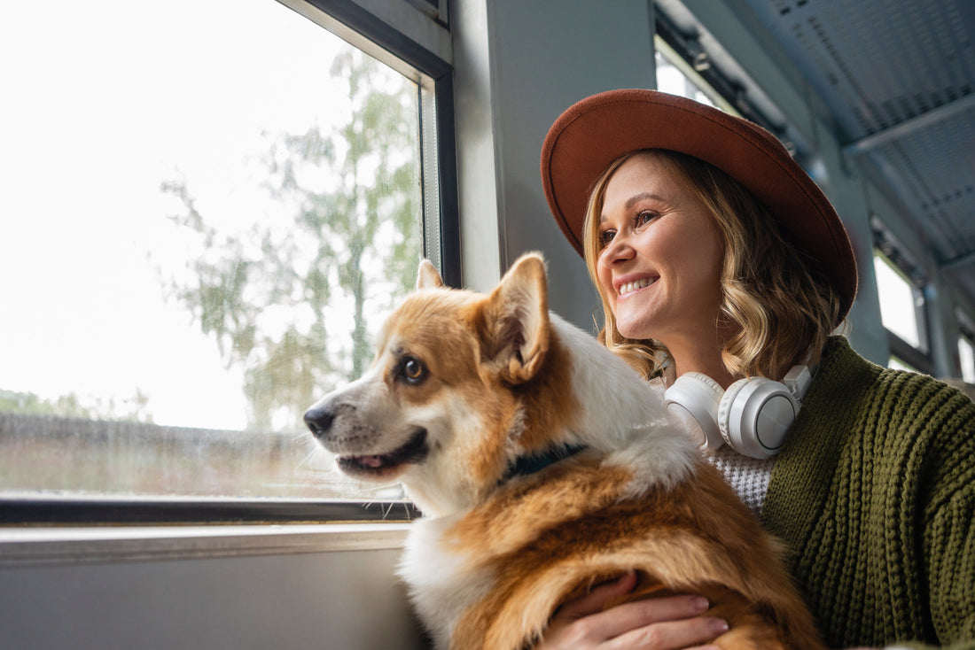 woman-dog-train-travel