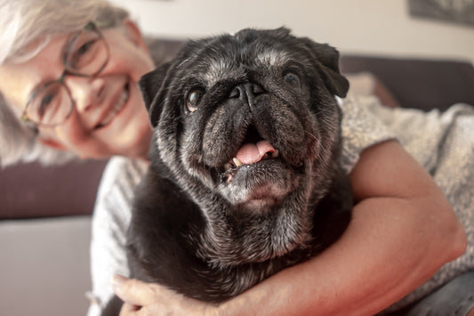senior-woman-holding-pug