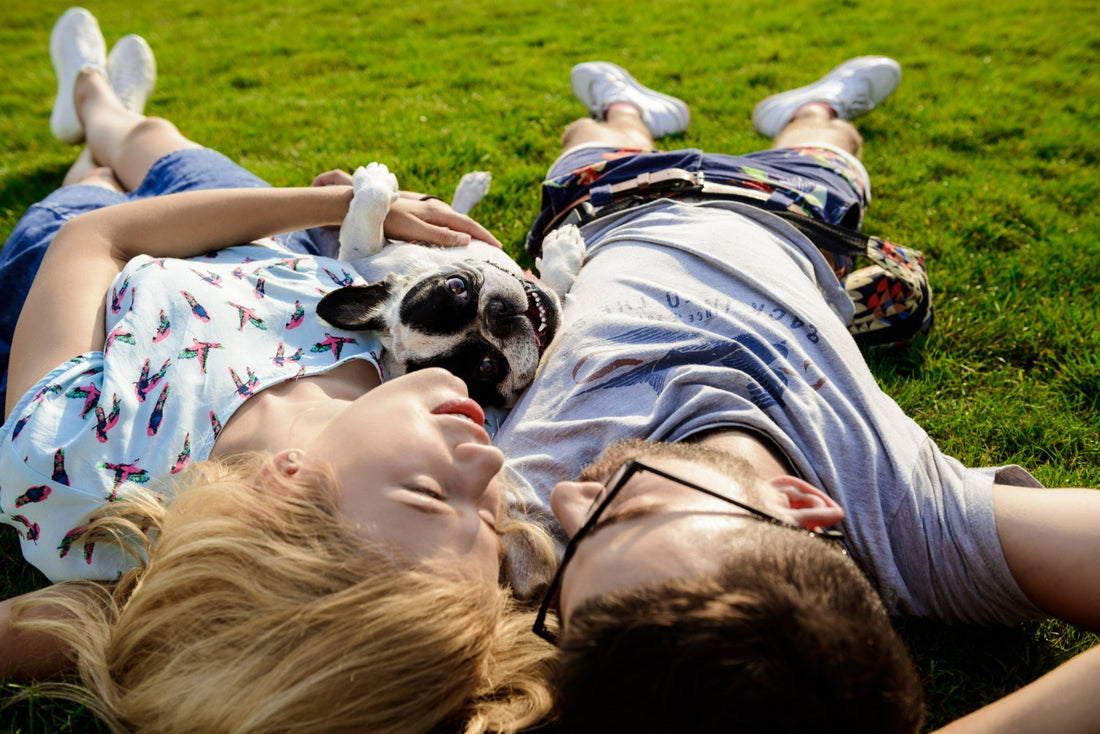 Couple-lying-with-french-bulldog-on-grass