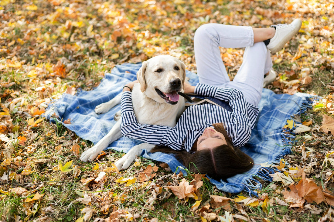 Cute-dog-with-woman-sitting-on-a-blanket