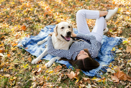 Cute-dog-with-woman-sitting-on-a-blanket