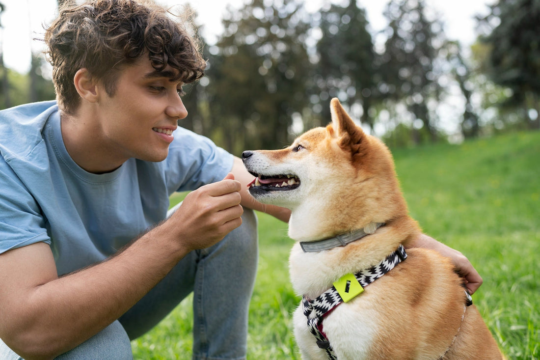 man-bonding-with-dog-outdoors