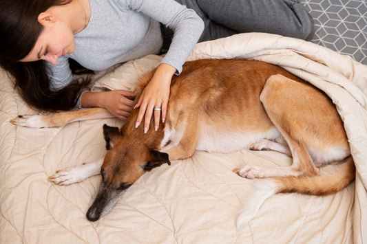 Dog-sleeping-with-a-woman