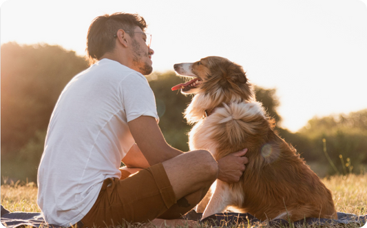 man-dog-outdoor-sunset