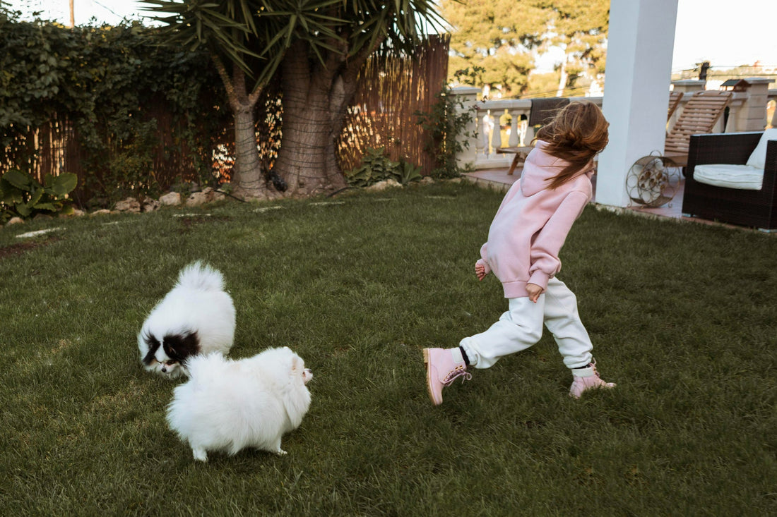 girl-playing-with-two-pomeranians