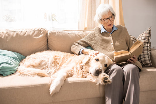 Golden-Retriever-With-Senior-Woman-On-Couch
