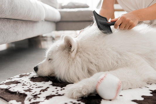 Tackle-Pet-Hair