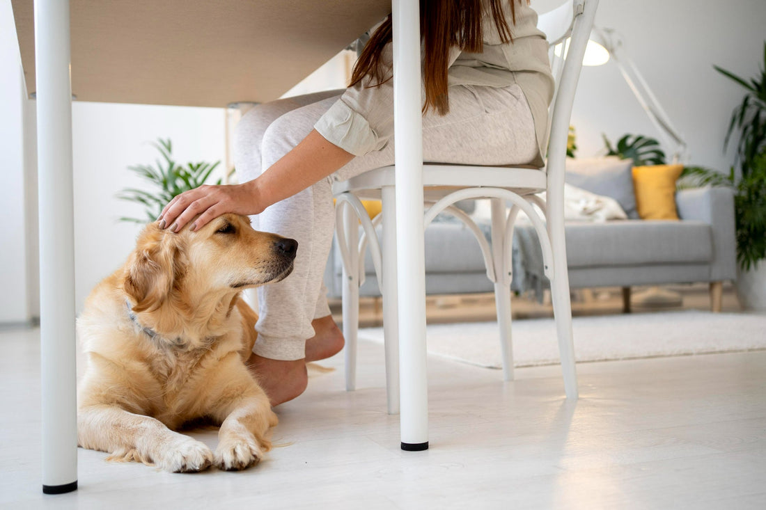 woman-petting-golden-retriever-indoors