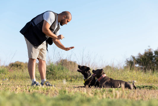 dog-trainer-teaching-two-dogs