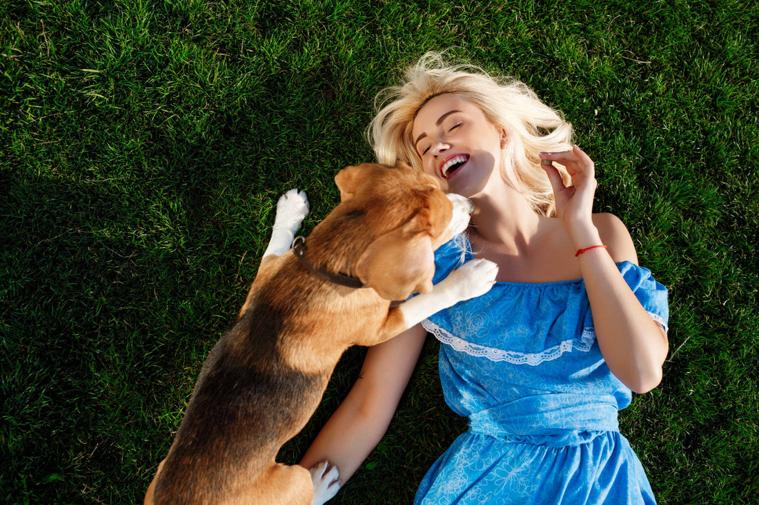 girl-lying-with-beagle-dog