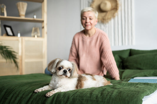 When is time to use a pet-friendly diaper or a pet diaper liner?