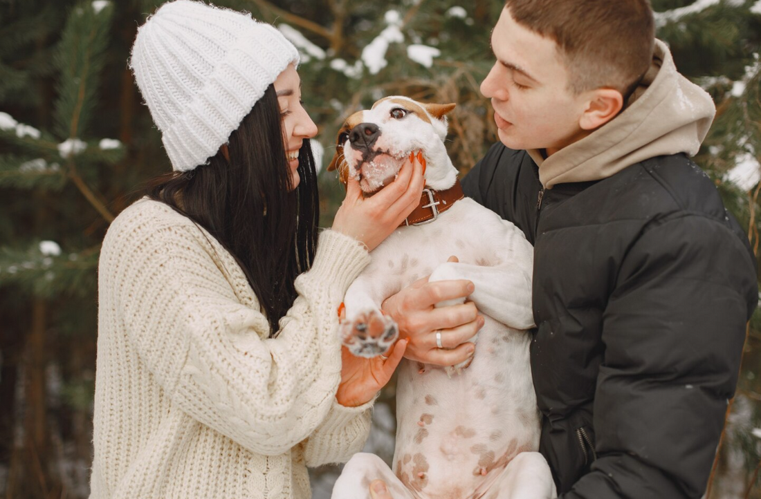 Fall & Winter Dog Care: How PAWPANG Diaper Liners Keep Your Home Fresh and Stress-Free