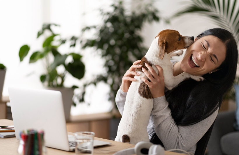 PAWPANG Copper Fit Mate™: The Copper-Infused Reusable Dog Diaper Wrap That’s Changing Life for Male Dogs and Their Owners