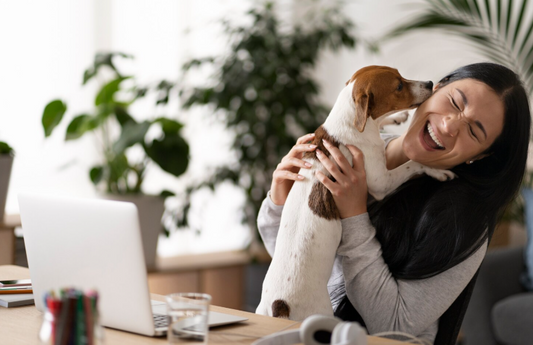 PAWPANG Copper Fit Mate™: The Copper-Infused Reusable Dog Diaper Wrap That’s Changing Life for Male Dogs and Their Owners