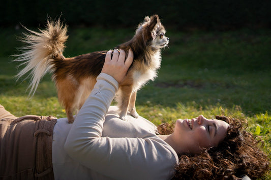 pet-parent-laying-with-chihuahua