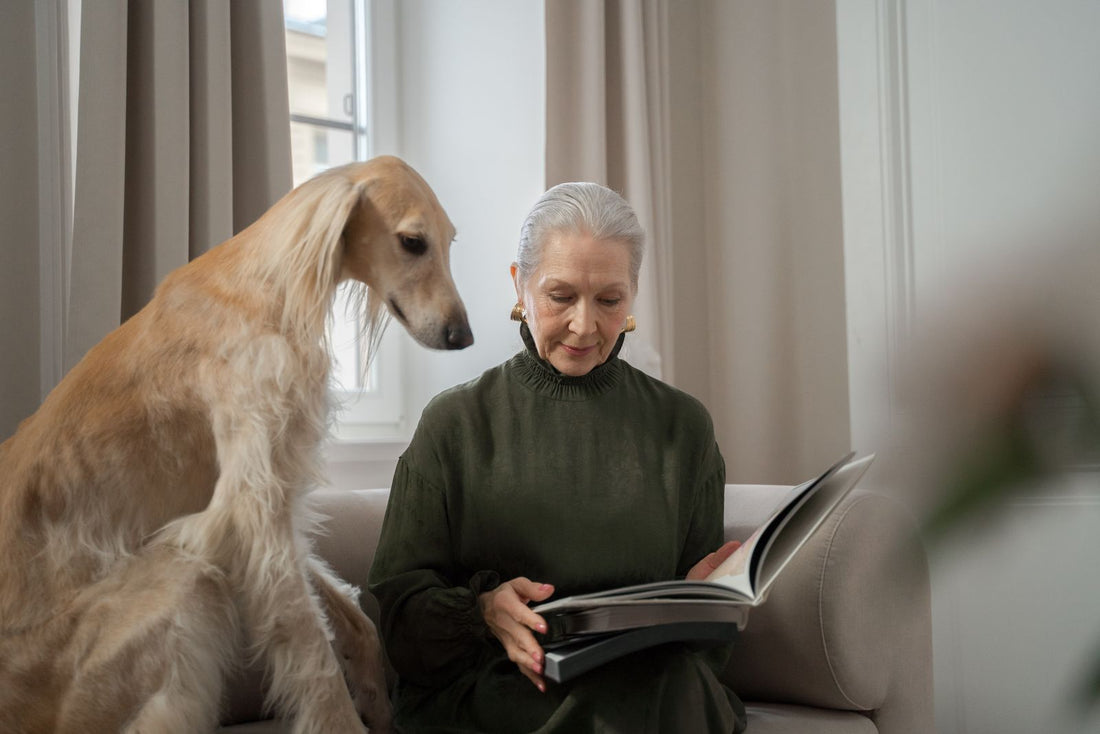 A greyhound stays close to an older caregiver in a bright, calm home arranged for easy movement.