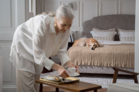 A senior dog rests beside its caregiver in a bright bedroom during a calm morning after overnight care.
