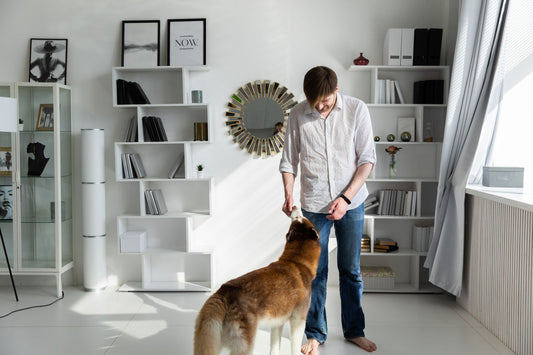 A dog and pet parent share a calm greeting in a bright room at home.