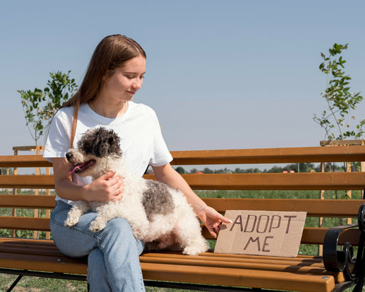 puppy-awaits-new-home