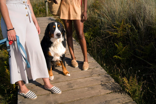 women-walking-large-dog-outdoors